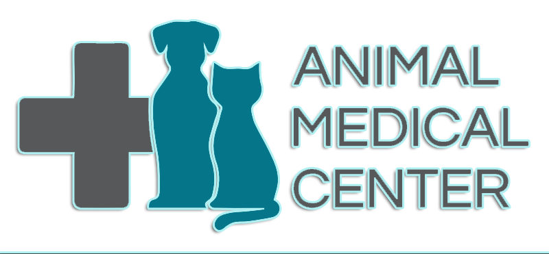 Veterinarian in Virginia Beach, VA - Animal Medical Center