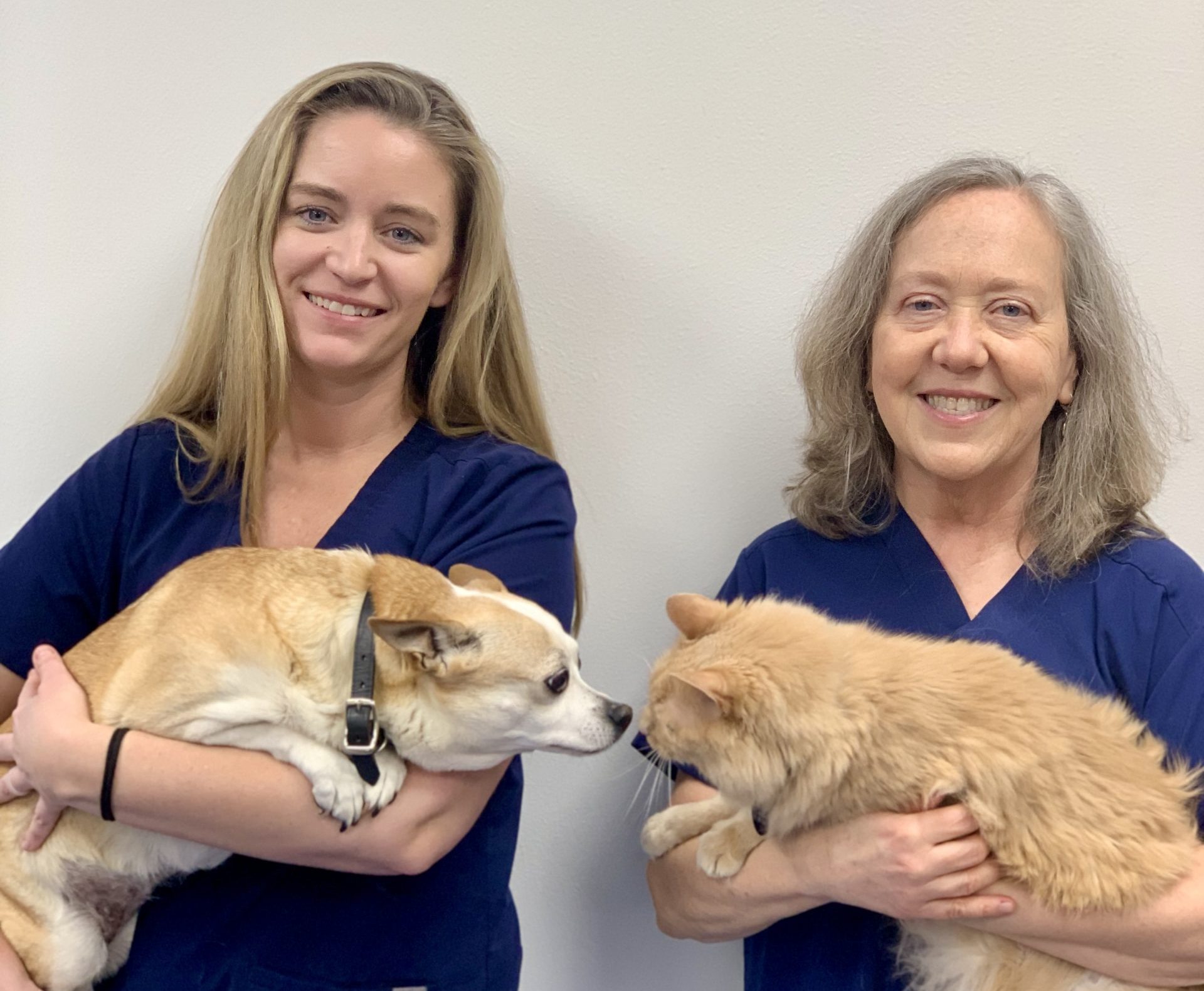 Veterinarian in Virginia Beach, VA